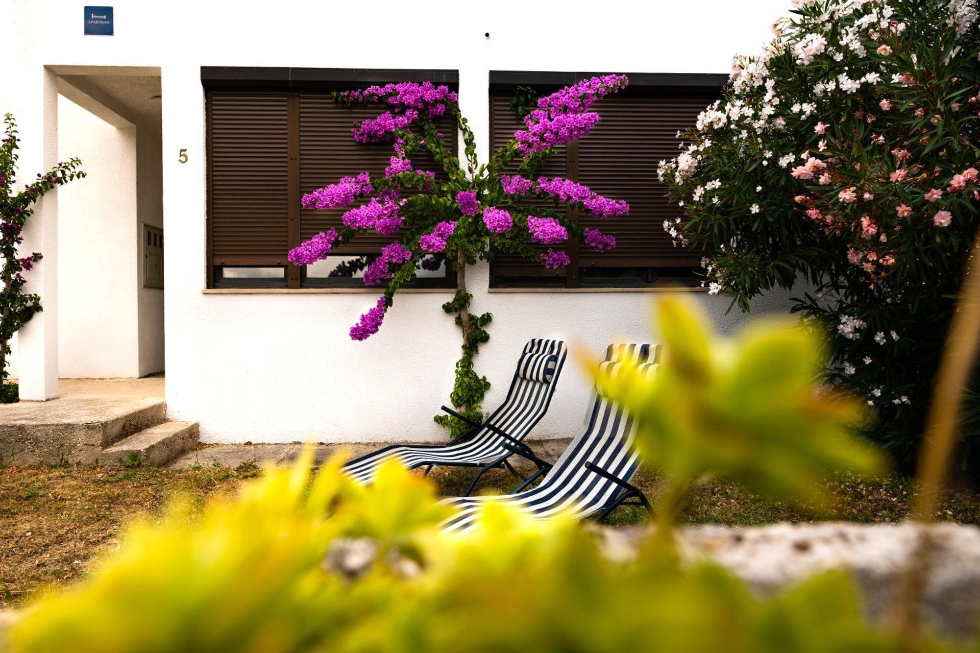 Apartments Dida Sime Starigrad Paklenica Extérieur photo